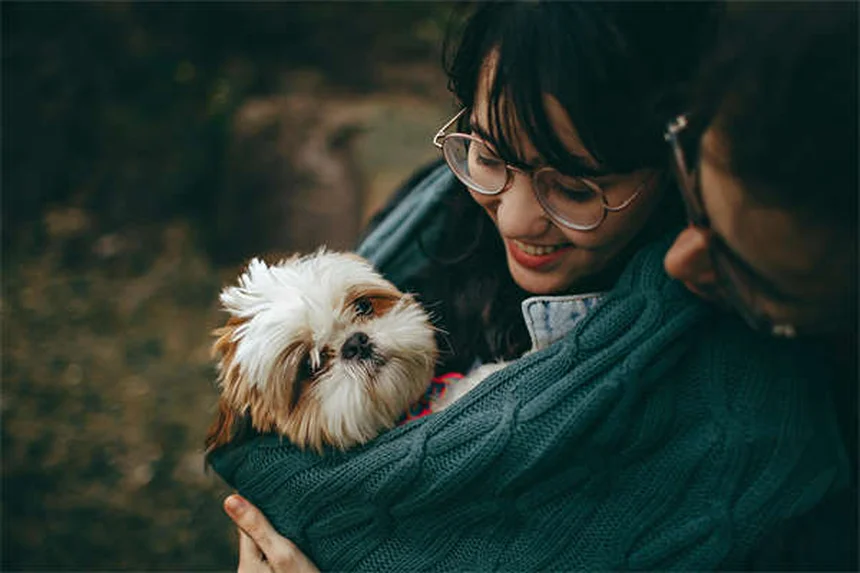 犬の攻撃性を改善する80％の成功例：ホルモンより行動修正が効果的